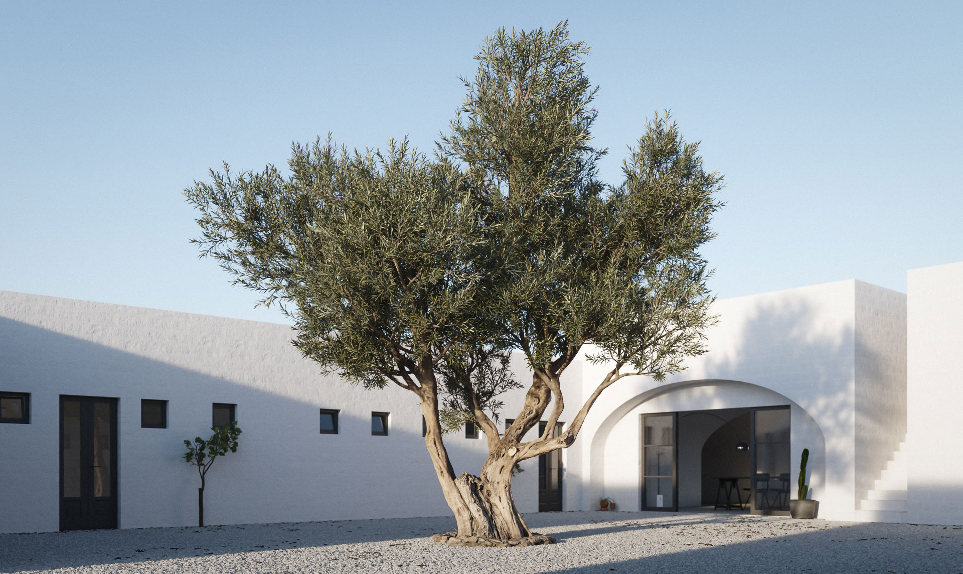 3DC-olivo02_V3_Horizontal_Masseria_1920